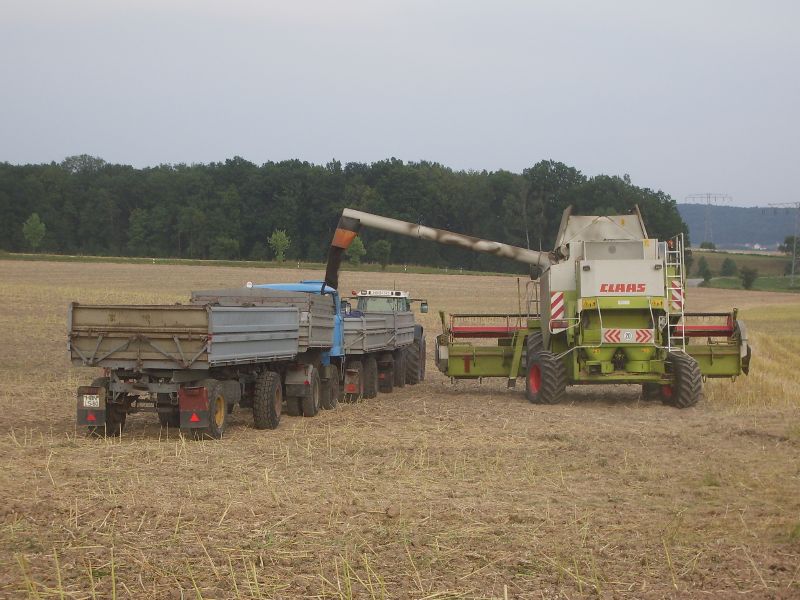 Claas Lexion 480 12.jpg